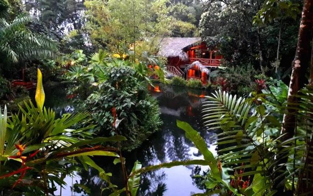 How safe is Mindo cloud forest in Ecuador