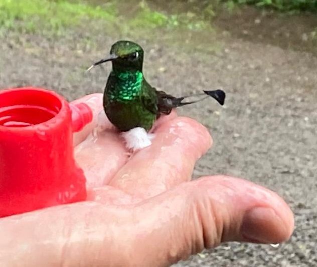 Mindo Day Trip from Quito