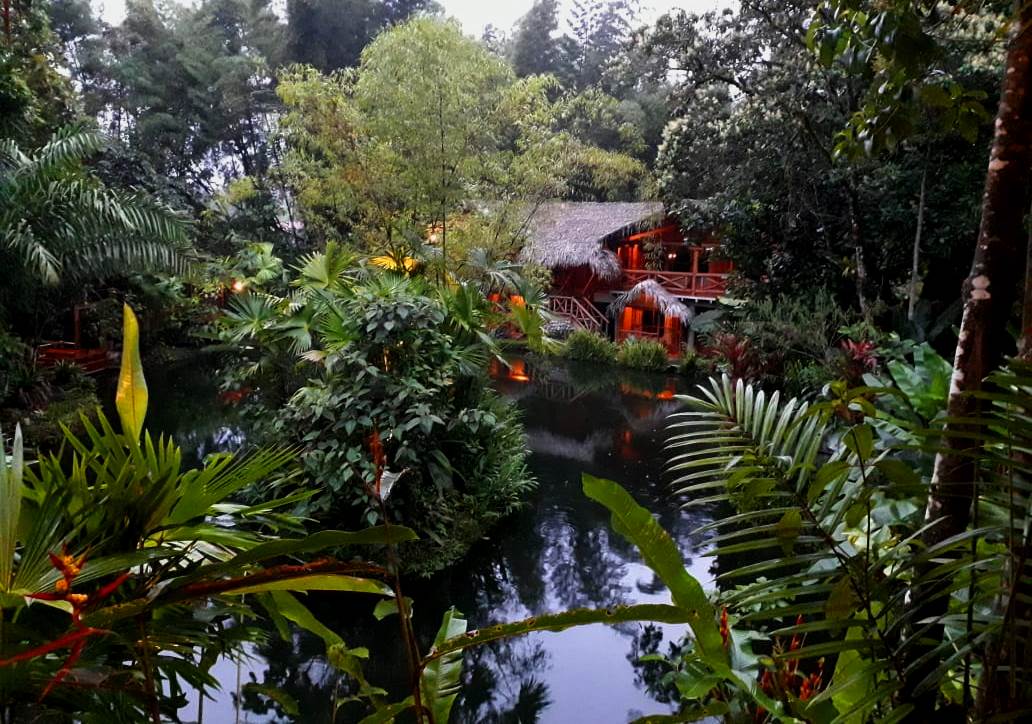 Mindo cloud forest tour, mindo cloud forest from Quito, mindo tour, mindo day trip, mindo excursion, mindolago, mindo garden, mindo cock of the rock, mindo toucans, mindo ecuador, mindo travel, mindo humming birds, mindo tarabita, zipline in mindo