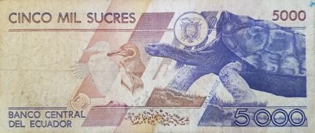 Ecuador Currency and Money Tips